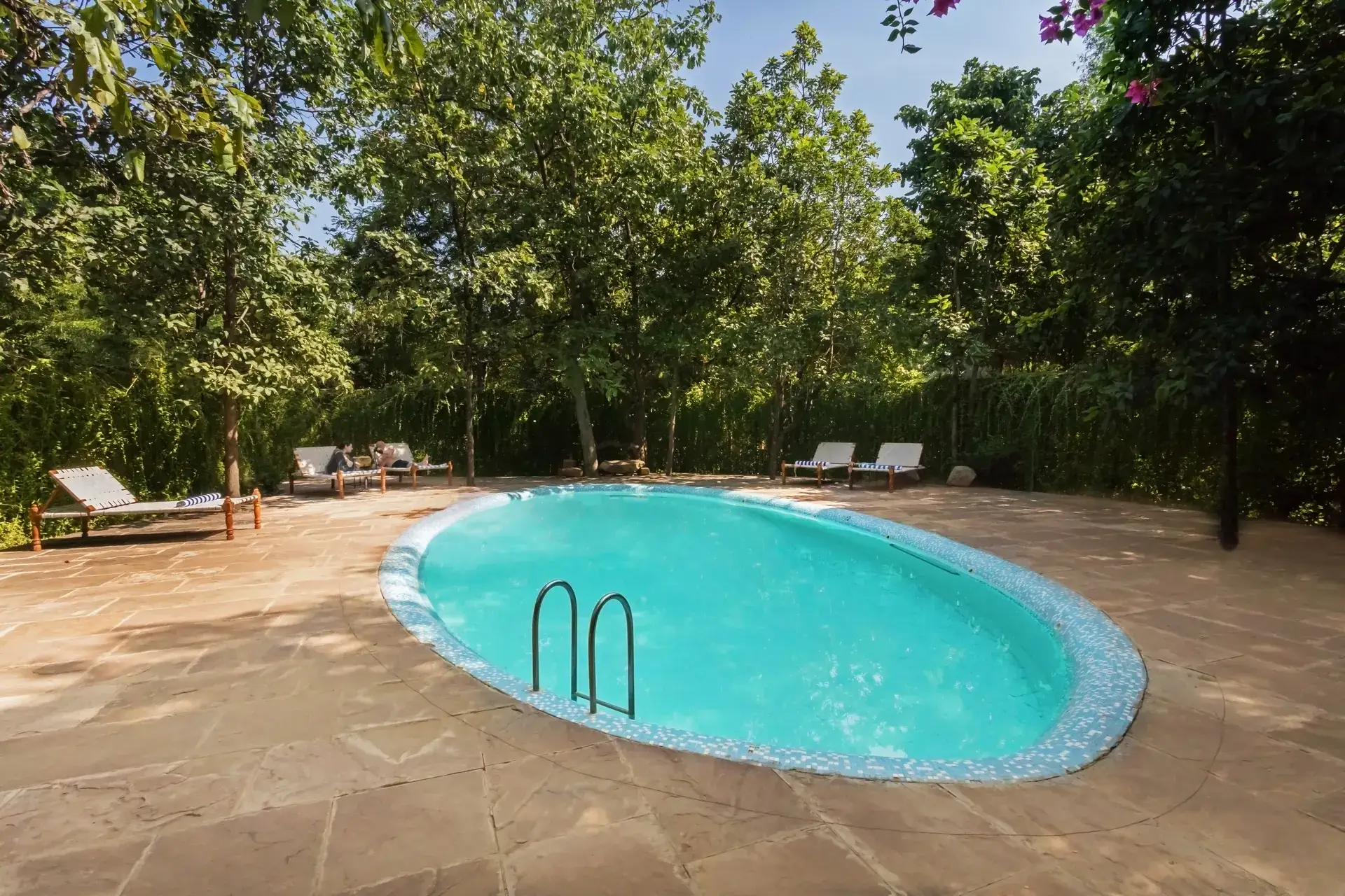 Pool among the trees