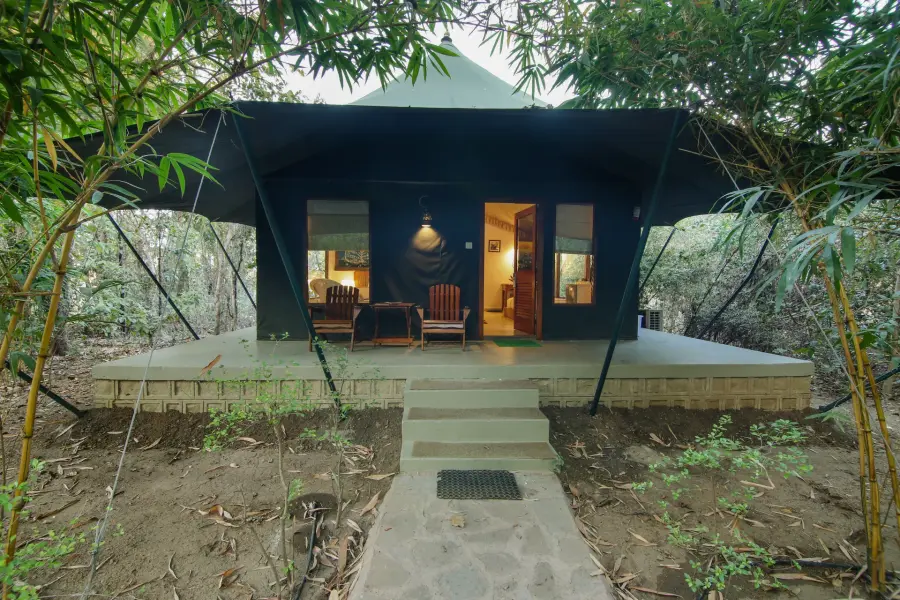 Luxury safari tent at a jungle camp near Pench’s Turia gate (photo 17)