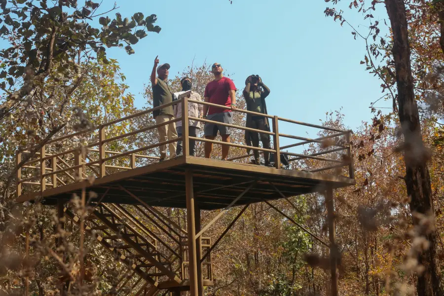 Grounds, dining and experiences at a luxury jungle camp near Pench (photo 19)