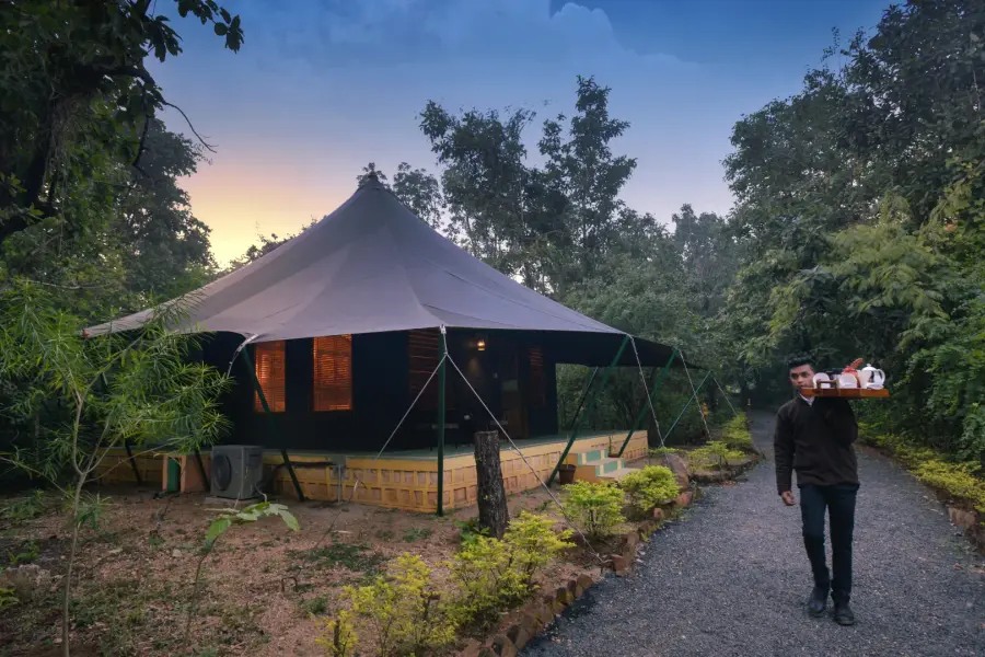 Luxury safari tent at a jungle camp near Pench’s Turia gate (photo 20)