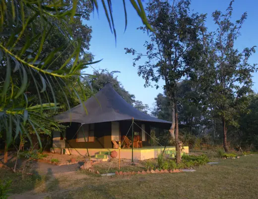 Luxury stay near the Pench safari gates