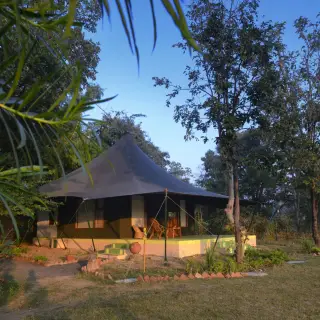 Luxury stay near Pench