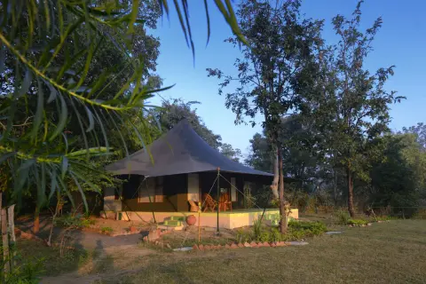 Luxury Tents — Luxury stay near Pench