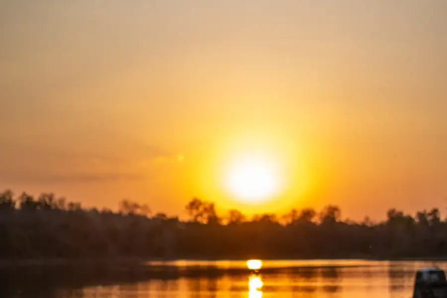 Grounds, dining and experiences at a luxury jungle camp near Pench (photo 24)