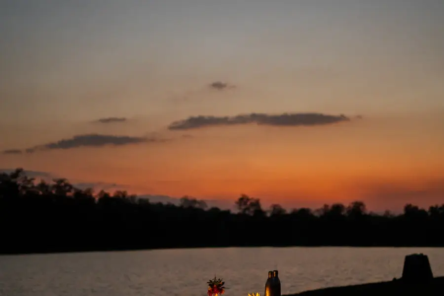 Grounds, dining and experiences at a luxury jungle camp near Pench (photo 25)