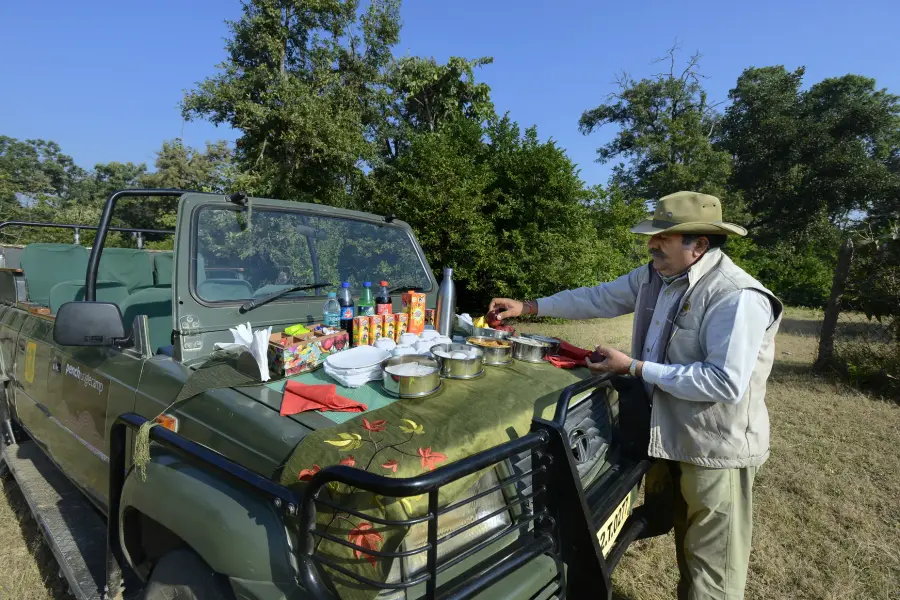 Grounds, dining and experiences at a luxury jungle camp near Pench (photo 27)