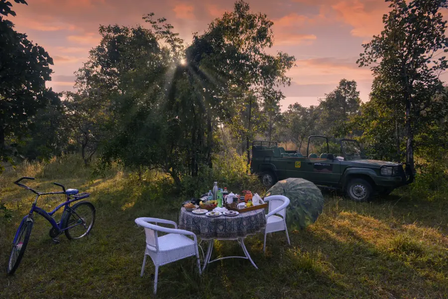 Grounds, dining and experiences at a luxury jungle camp near Pench (photo 29)