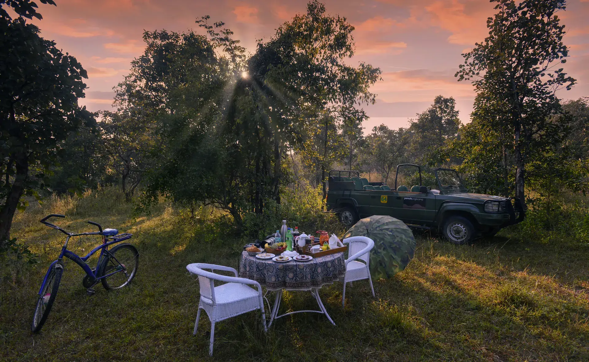 Bush breakfast in the forest