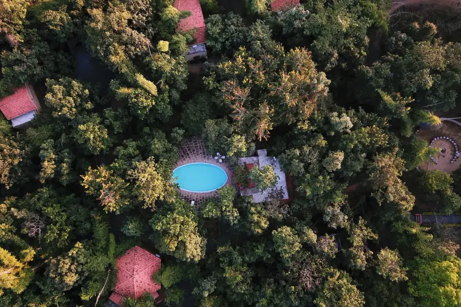 Grounds, dining and experiences at a luxury jungle camp near Pench (photo 30)