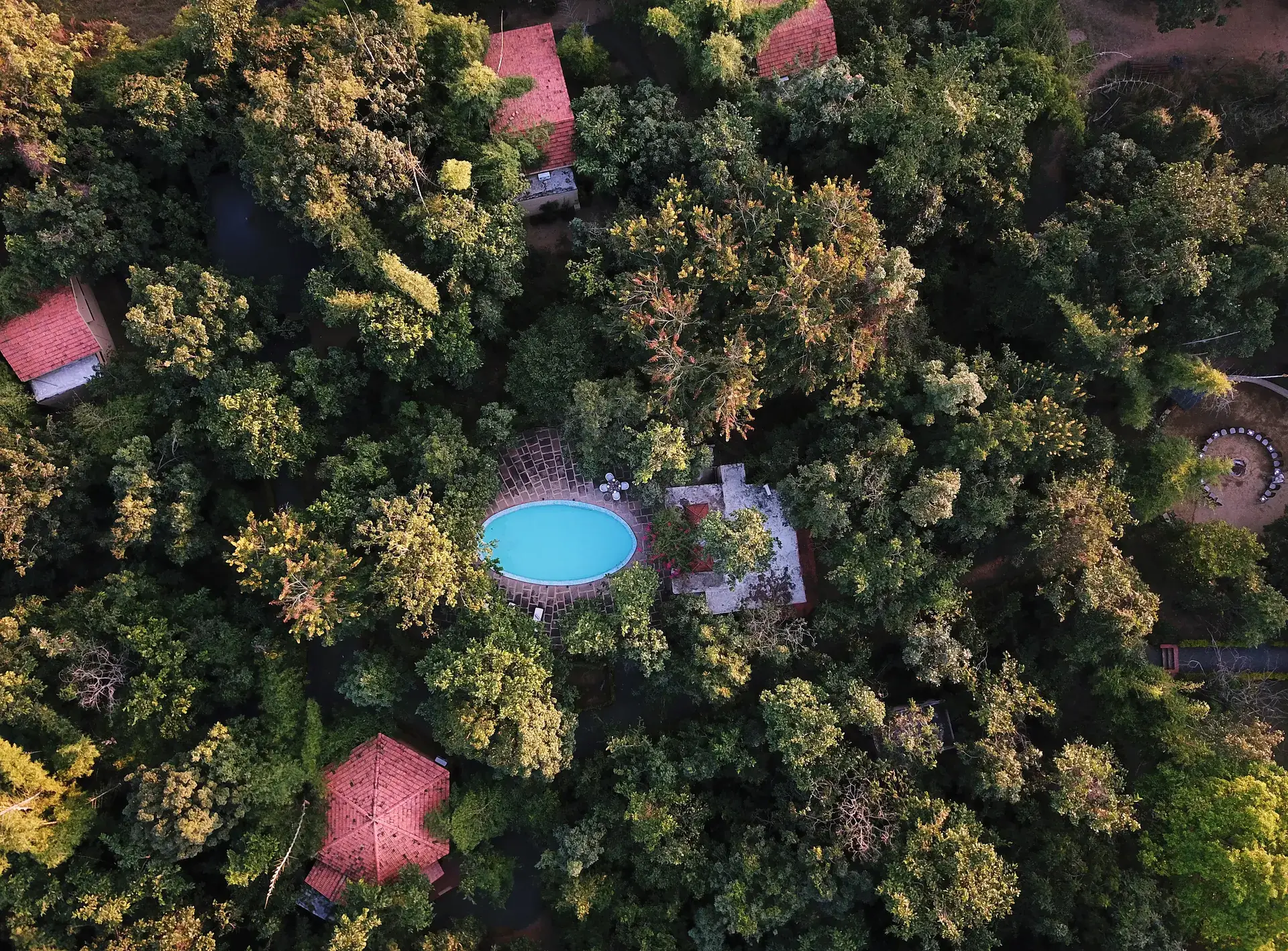 Aerial view of a jungle camp