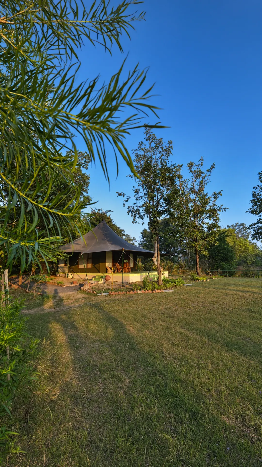 Luxury safari tent among the trees at a jungle camp near Pench