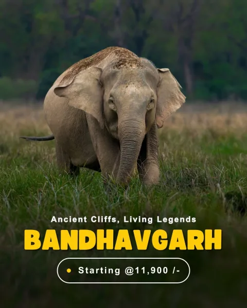 Bandhavgarh