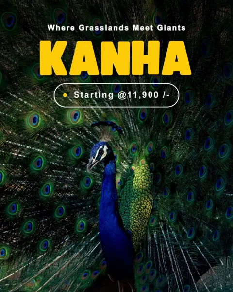 Kanha