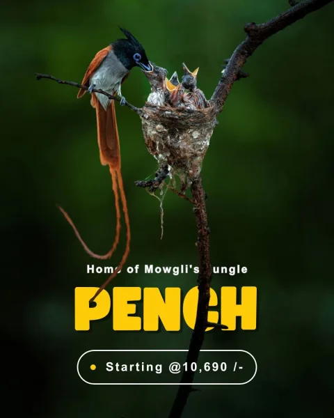 Pench