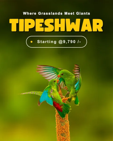 Tipeshwar