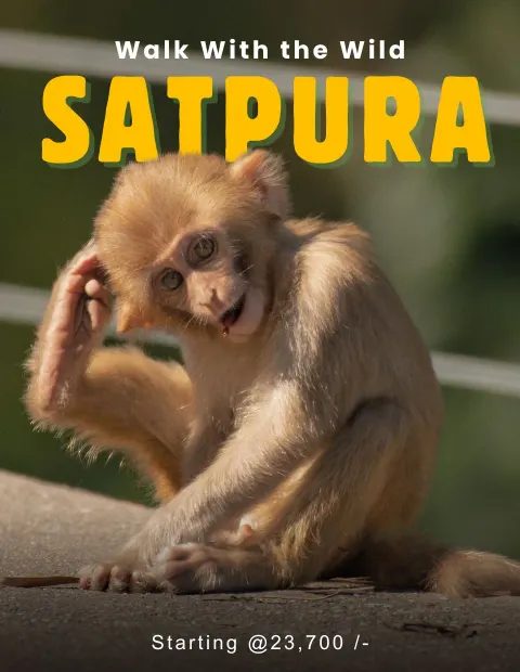 Dudhwa Tiger Safari — Grand Safari — Uttar Pradesh