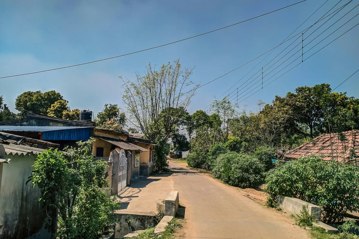 A village lane near the forest reserves where Wild Excursions runs safaris