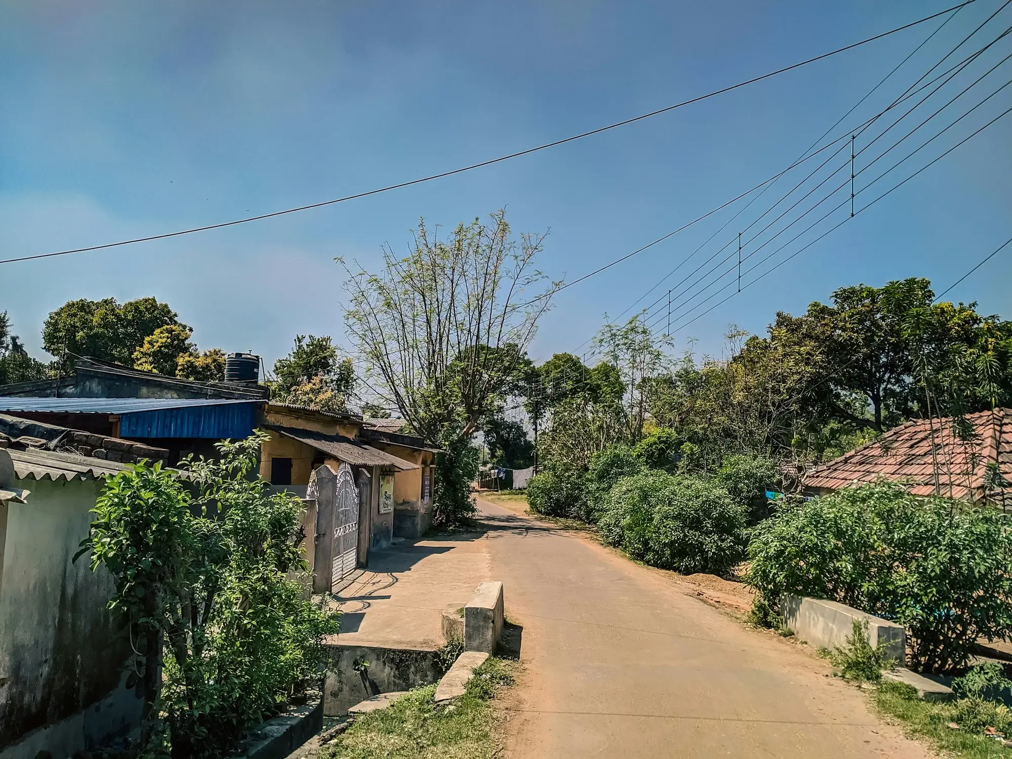 Village lane in rural Vidarbha near Tadoba
