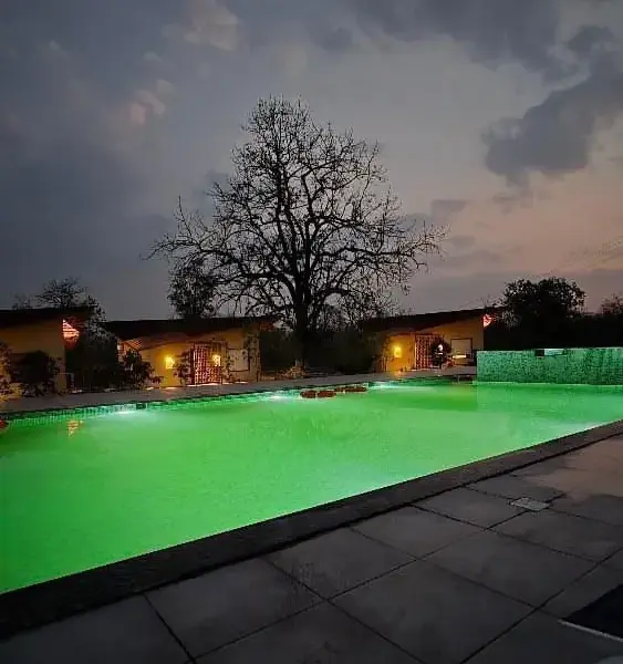 Pool, lawns and dining at a semi-luxury resort near Pench (photo 2)