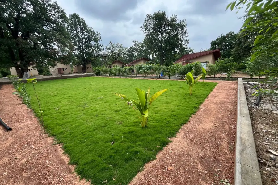 Pool, lawns and dining at a semi-luxury resort near Pench (photo 8)