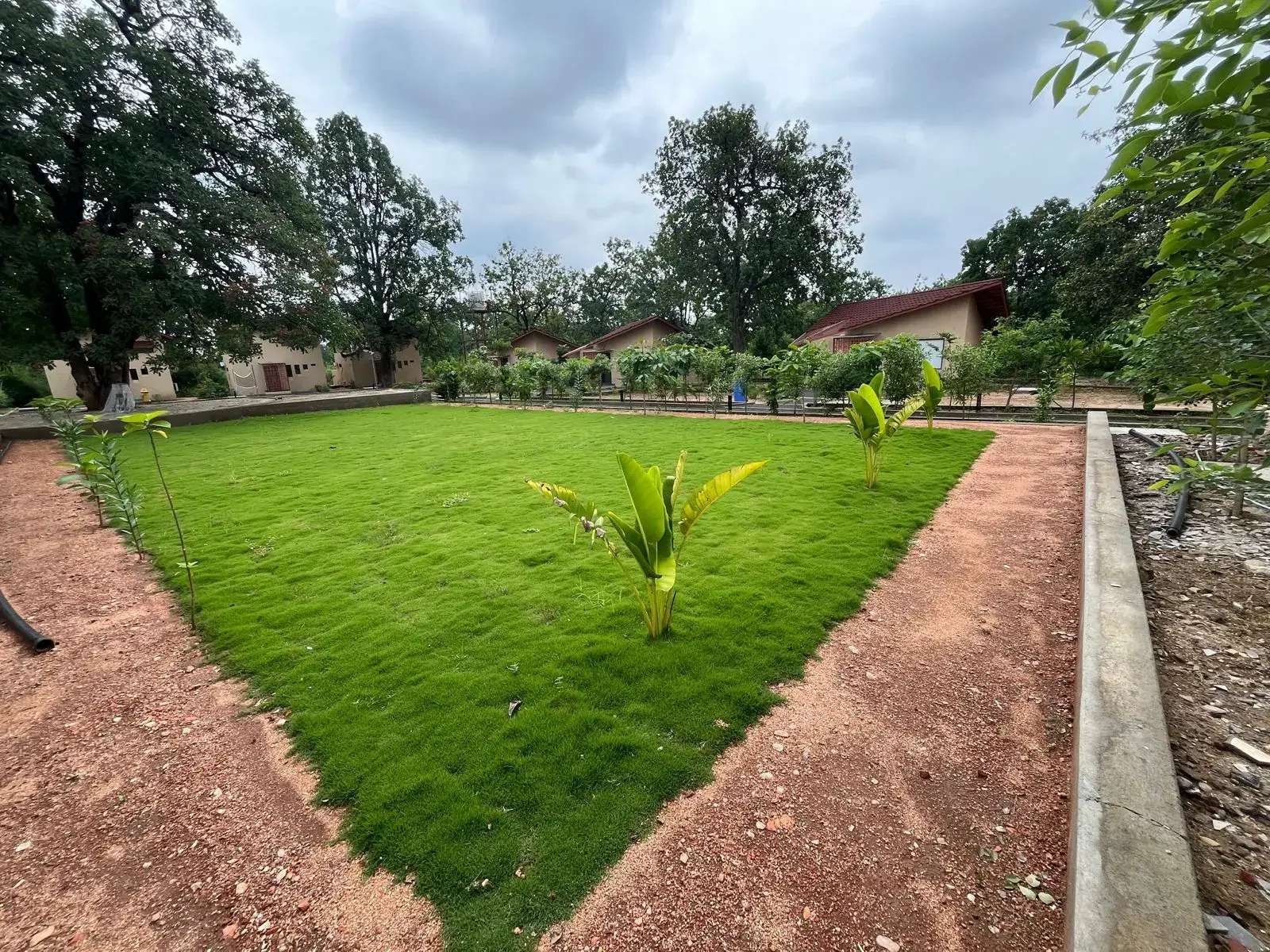 Cottages and lawns at a resort near Turia