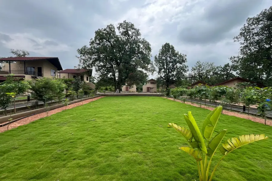 Pool, lawns and dining at a semi-luxury resort near Pench (photo 9)