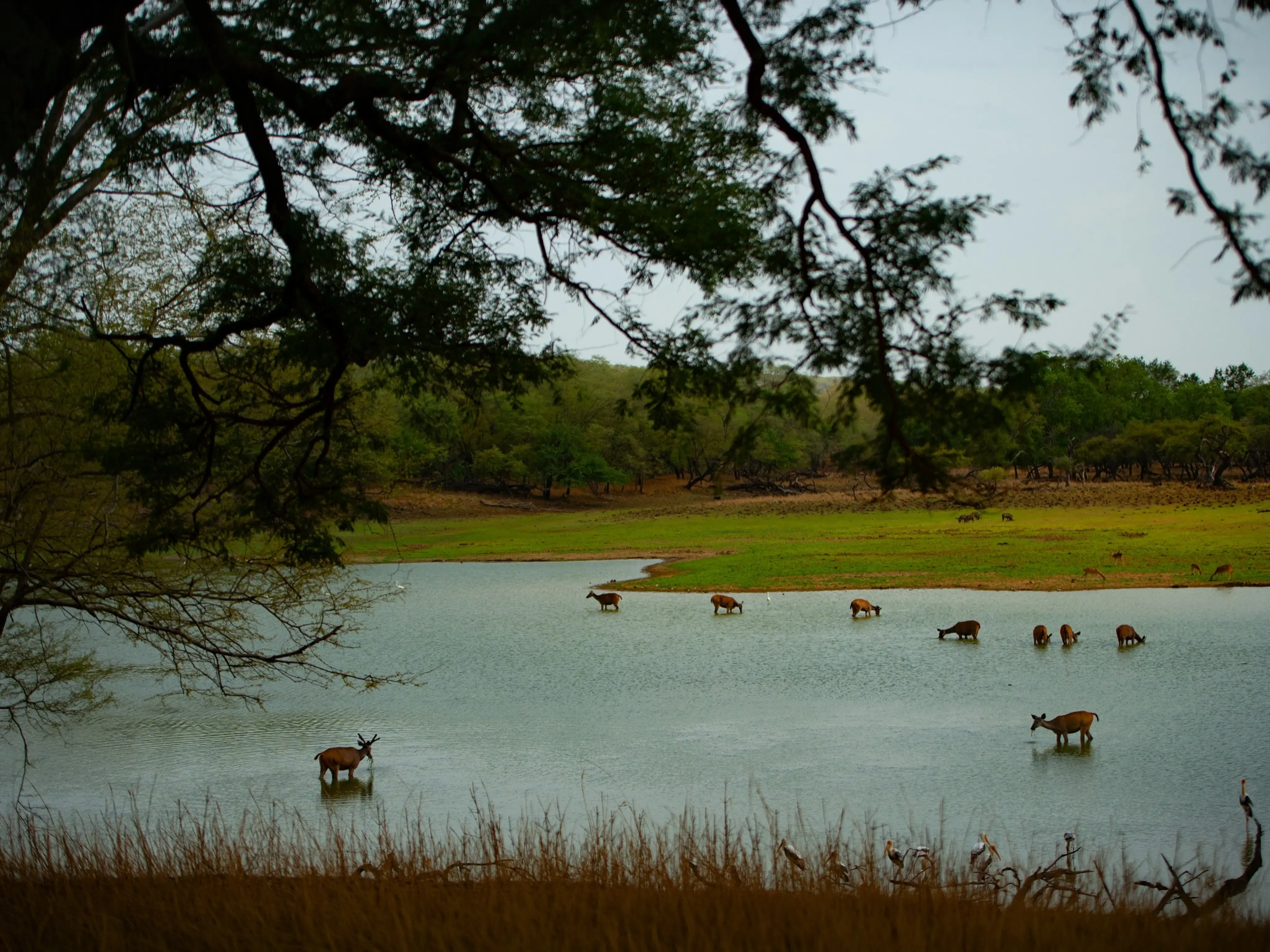 Lake and open country, Belara-style scenery