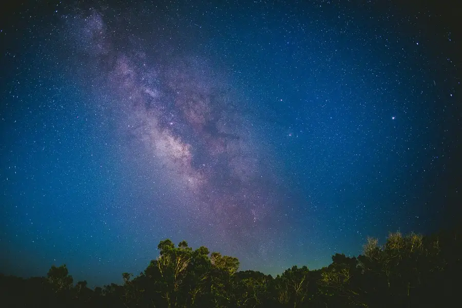 Stargazing under the Milky Way above the forest canopy