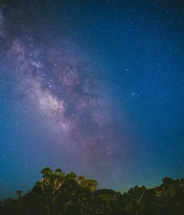 Stargazing