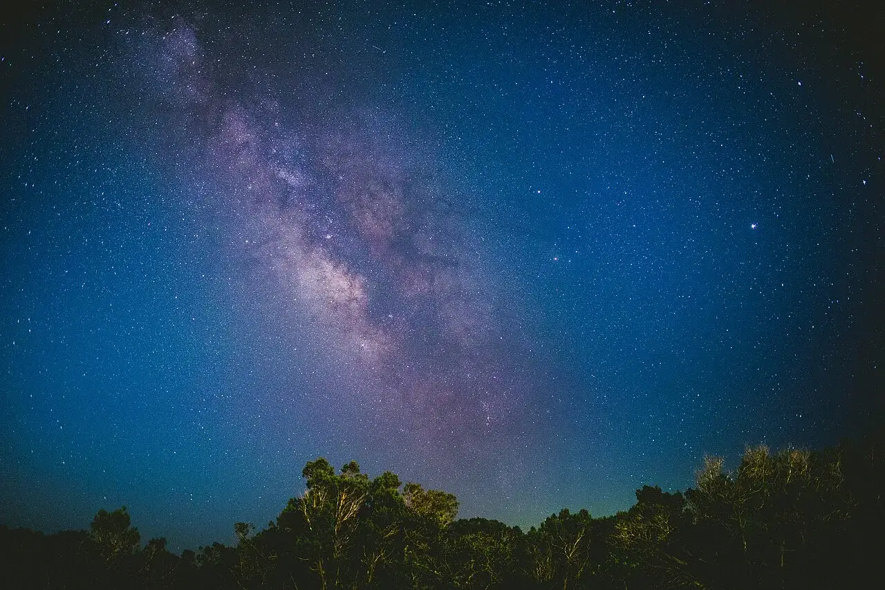 Milky Way over the forest at night