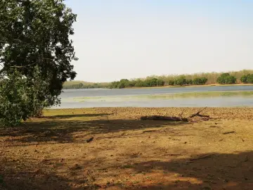 Wide view of the largest lake in Tadoba-Andhari Tiger Reserve under a clear sky