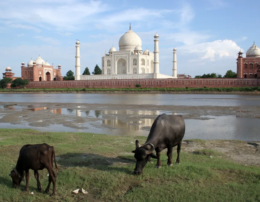 The Taj Mahal viewed from the banks of the Yamuna River in Agra