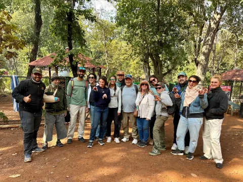 Corporate Wildlife Retreats: Why a Jungle Safari Beats Another Hotel Conference Room