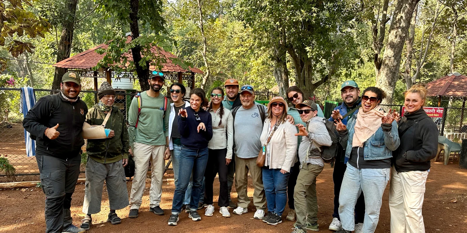 Corporate Wildlife Retreats: Why a Jungle Safari Beats Another Hotel Conference Room