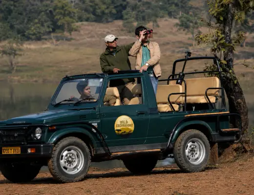 Open-jeep safari with a Wild Excursions naturalist