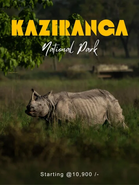 Kaziranga