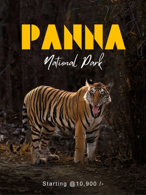 Panna